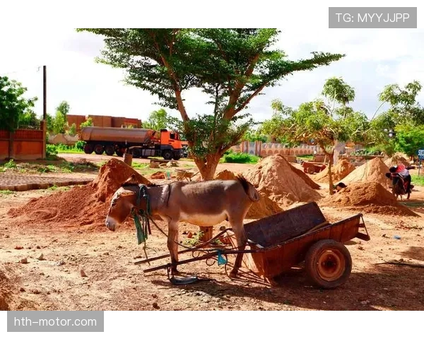 布基纳法索骏马在传统与现代融合中展现足球文化的新魅力